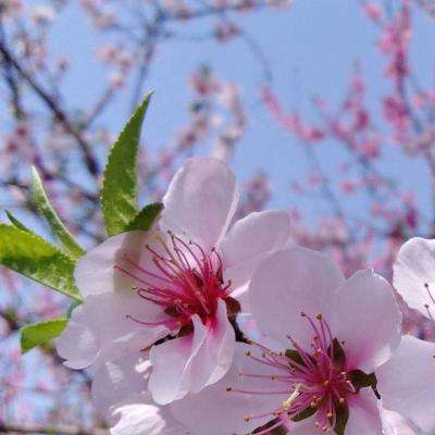 云顶贵宾会娱乐app手机版截图